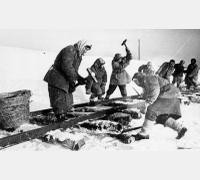 Строительство узкоколейки на Каринторф. 1940-е гг. Фото Л. Шишкина