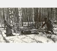 Эвакуация раненых на волокуше ”лодочка” у деревни Кондуя Ленинградской области. Март 1942 г. Фото Д. Онохина